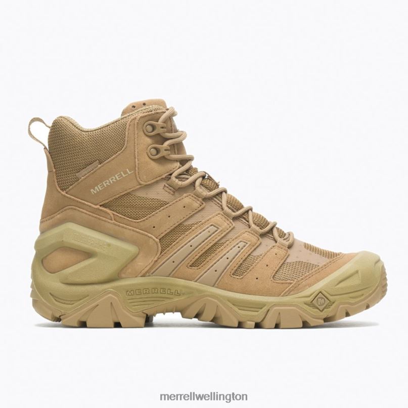 Strongfield Tactical 6'' Waterproof Boot (J099303) Merrell Men 8VV6P442 Shoes Dark Coyote
