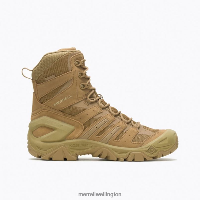 Strongfield Tactical 8'' Waterproof Boot (J099299) Merrell Men 8VV6P468 Shoes Dark Coyote