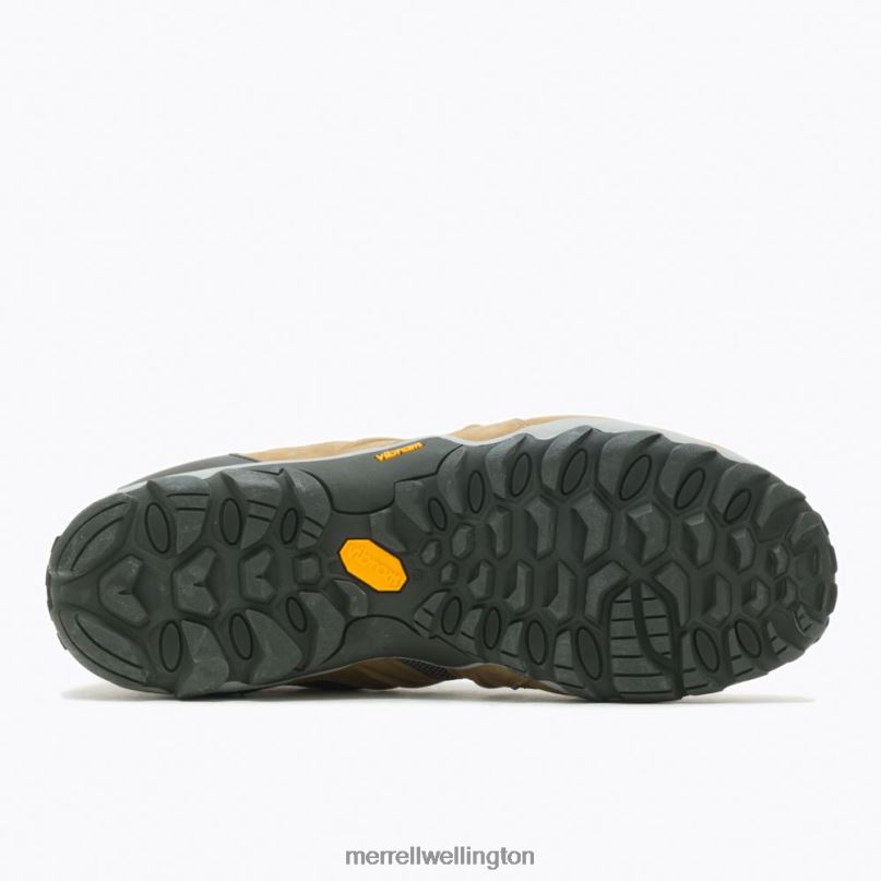 Chameleon 8 Stretch Waterproof (J500017) Merrell Men 8VV6P183 Shoes Butternut