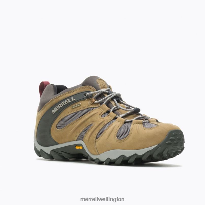 Chameleon 8 Stretch Waterproof (J500017) Merrell Men 8VV6P183 Shoes Butternut