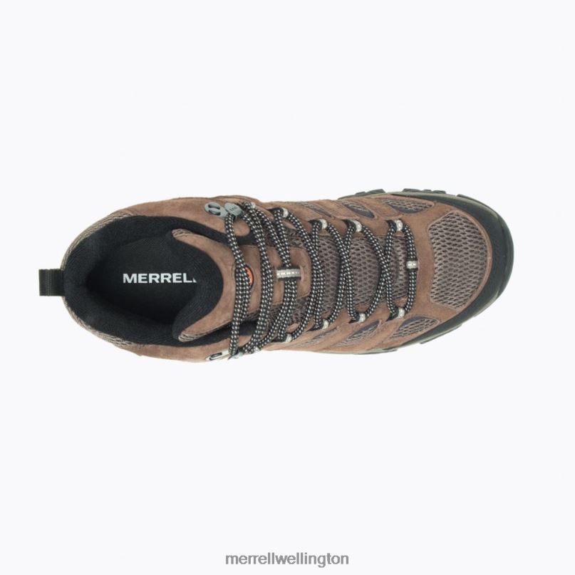 Moab 3 Mid Waterproof (J036757) Merrell Men 8VV6P130 Shoes Bracken
