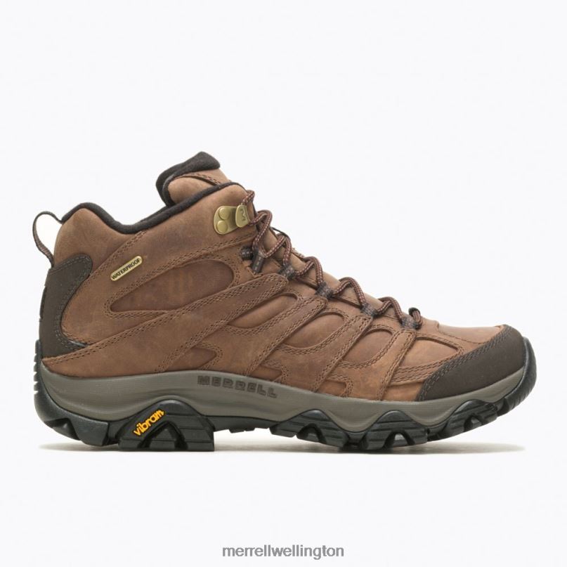 Moab 3 Prime Mid Waterproof (J035765) Merrell Men 8VV6P352 Shoes Mist