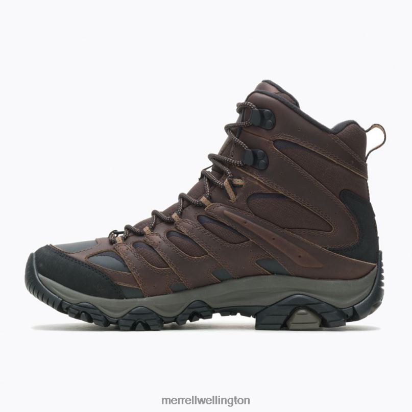 Moab 3 Thermo Tall Waterproof (J036573) Merrell Men 8VV6P635 Shoes Earth