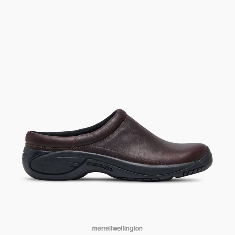 Encore Gust 2 (J002093) Merrell Men 8VV6P244 Shoes Espresso