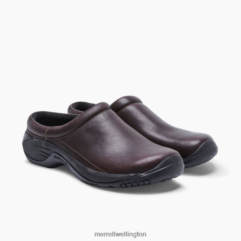 Encore Gust 2 (J002093) Merrell Men 8VV6P244 Shoes Espresso