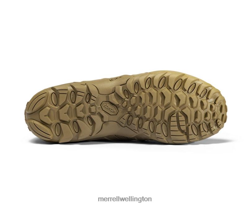 Cham 8 Stretch Tactical (J099407) Merrell Men 8VV6P480 Shoes Coyote