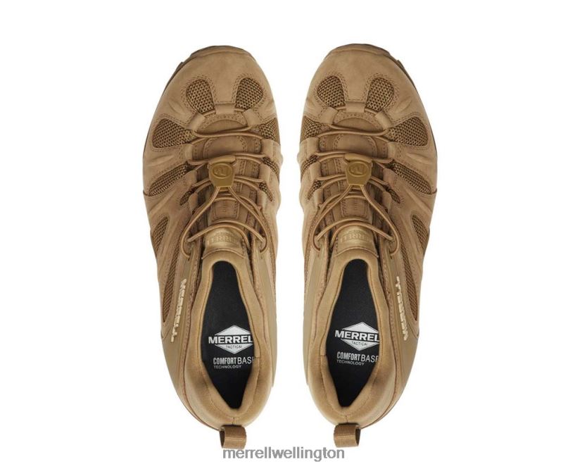 Cham 8 Stretch Tactical (J099407) Merrell Men 8VV6P480 Shoes Coyote