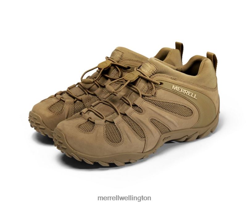 Cham 8 Stretch Tactical (J099407) Merrell Men 8VV6P480 Shoes Coyote