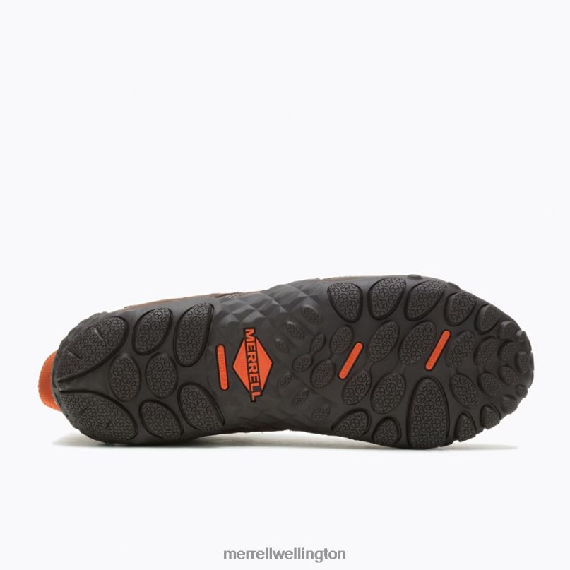 Chameleon Flux Stretch Carbon Fiber (J003313) Merrell Men 8VV6P680 Shoes Bracken
