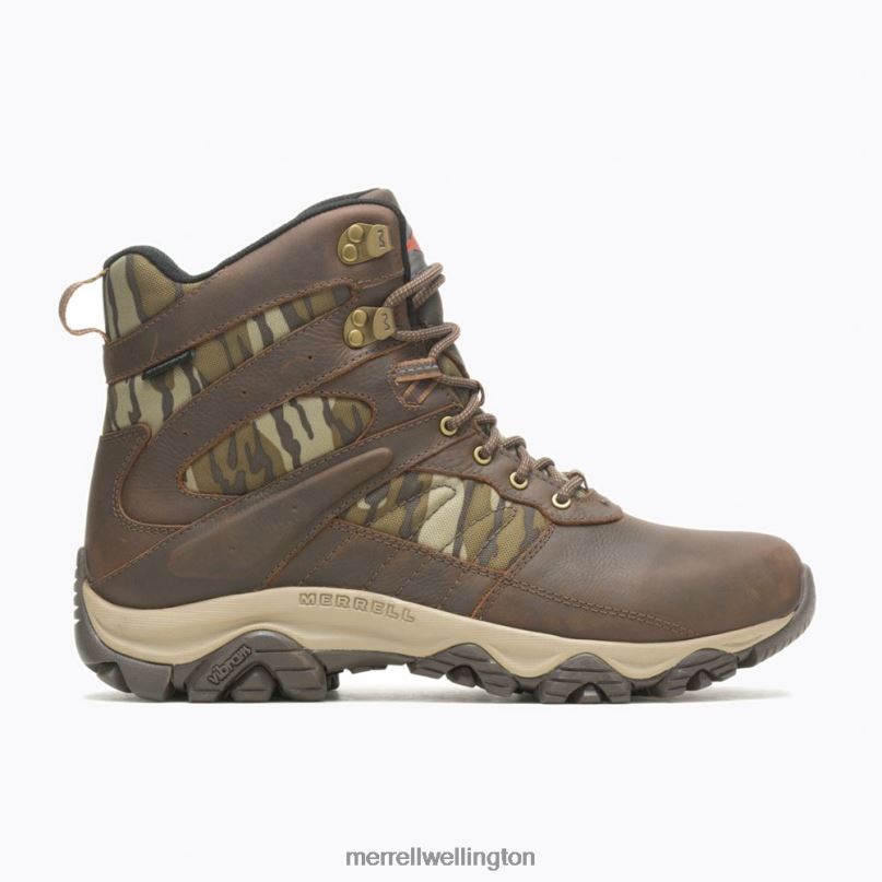 Moab 2 Timber 6'' Waterproof (J004651) Merrell Men 8VV6P599 Shoes Toffee/Oak