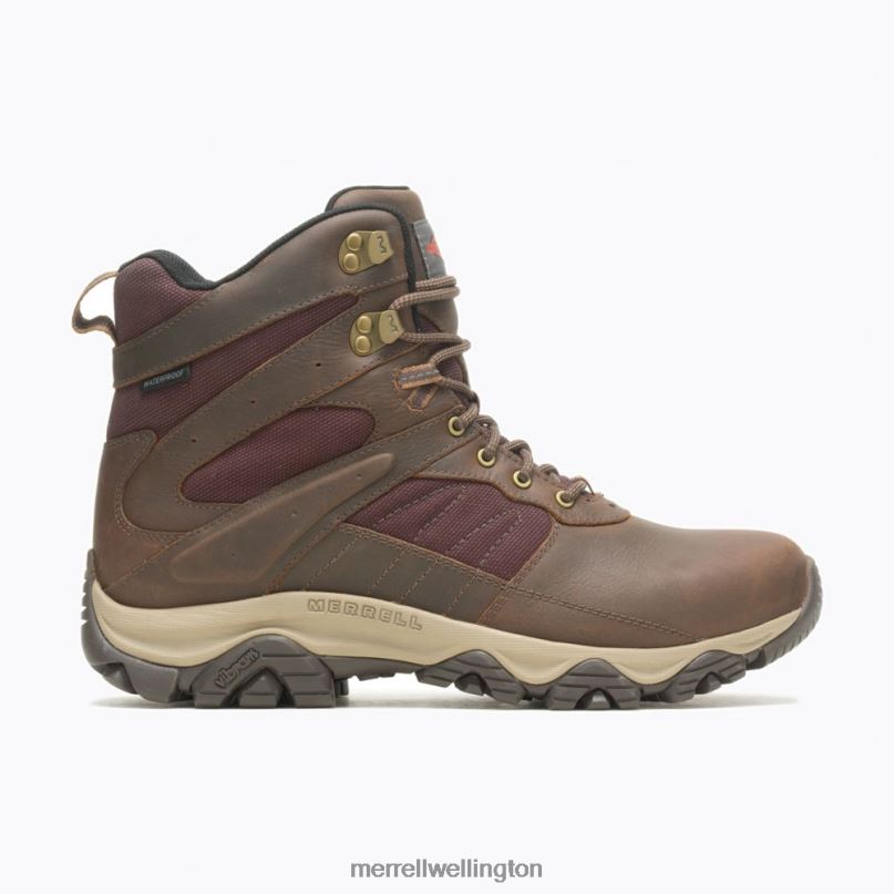 Moab 2 Timber 6'' Waterproof (J004653) Merrell Men 8VV6P598 Shoes Toffee