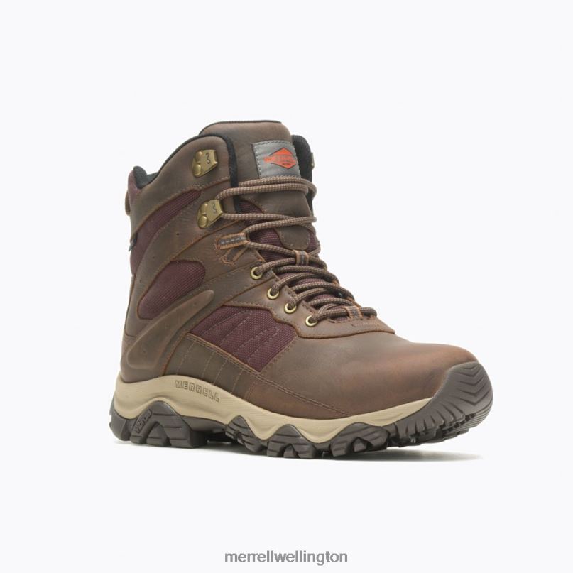 Moab 2 Timber 6'' Waterproof (J004653) Merrell Men 8VV6P598 Shoes Toffee
