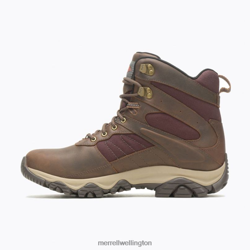 Moab 2 Timber 6'' Waterproof (J004653) Merrell Men 8VV6P598 Shoes Toffee