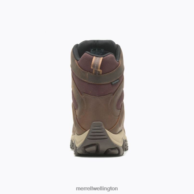 Moab 2 Timber 6'' Waterproof (J004653) Merrell Men 8VV6P598 Shoes Toffee