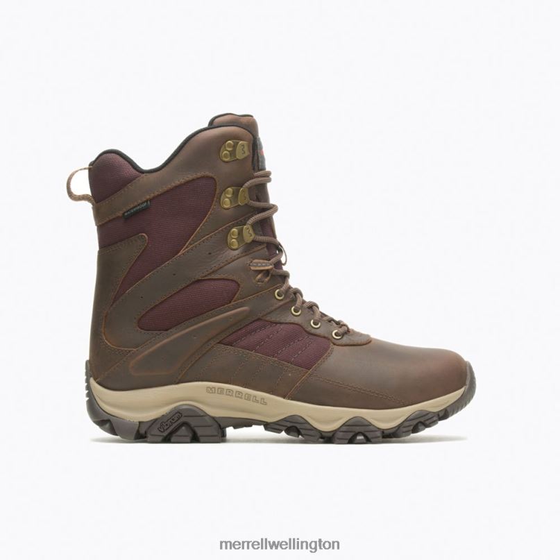 Moab 2 Timber 8'' Thermo Waterproof (J004645) Merrell Men 8VV6P658 Shoes Toffee