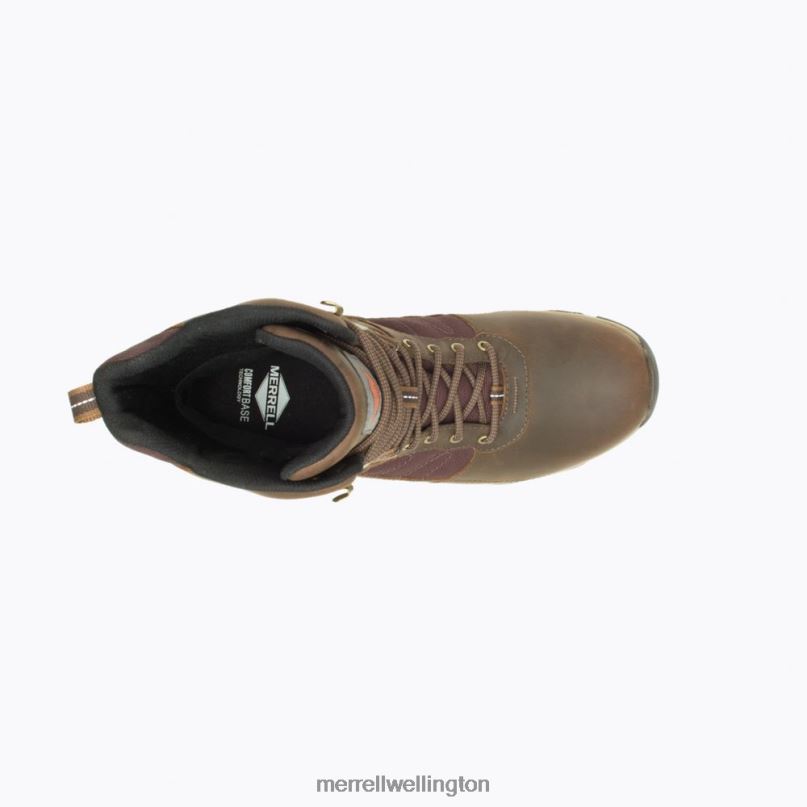 Moab 2 Timber 8'' Thermo Waterproof (J004645) Merrell Men 8VV6P658 Shoes Toffee