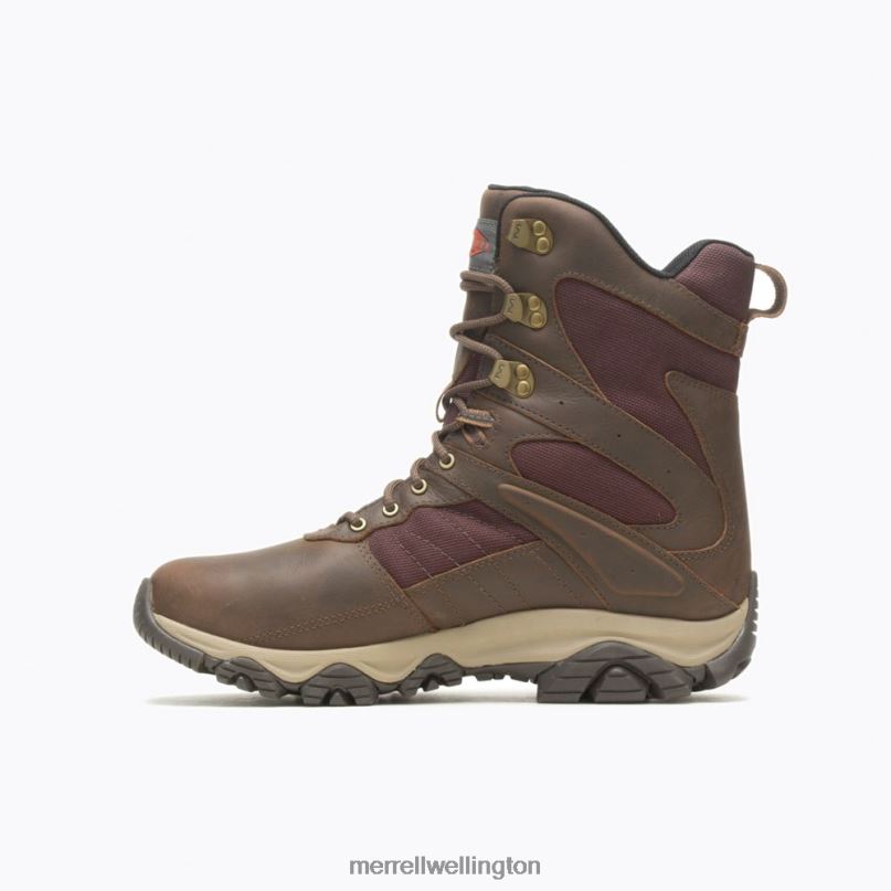 Moab 2 Timber 8'' Thermo Waterproof (J004645) Merrell Men 8VV6P658 Shoes Toffee