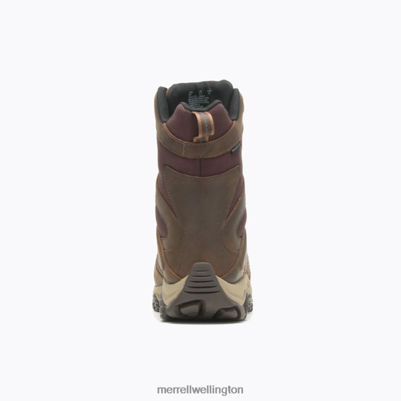 Moab 2 Timber 8'' Thermo Waterproof (J004645) Merrell Men 8VV6P658 Shoes Toffee