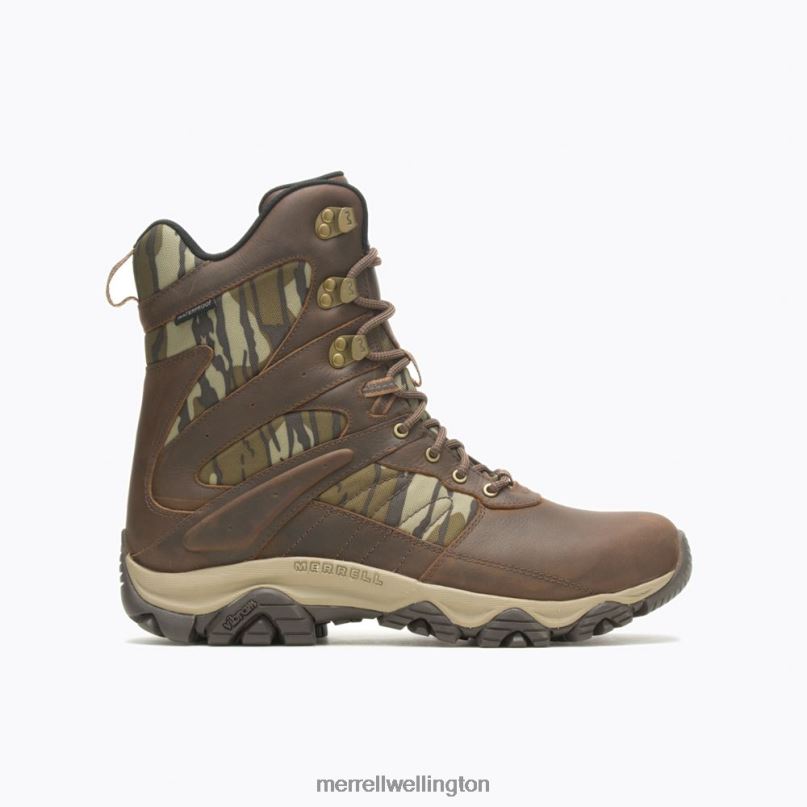 Moab 2 Timber 8'' Waterproof (J004647) Merrell Men 8VV6P636 Shoes Toffee/Oak