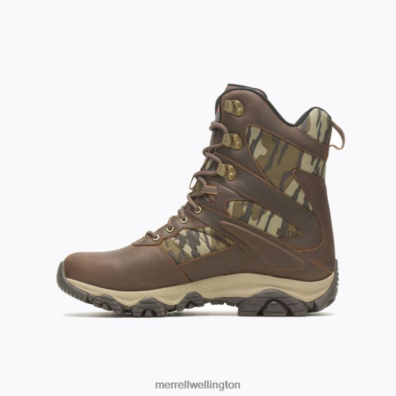 Moab 2 Timber 8'' Waterproof (J004647) Merrell Men 8VV6P636 Shoes Toffee/Oak