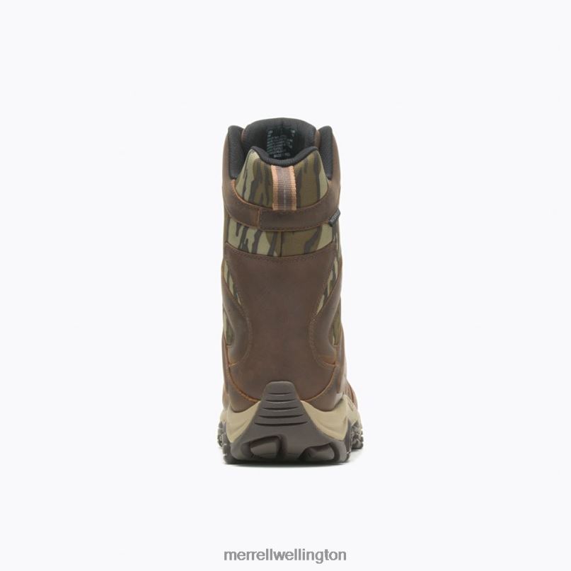Moab 2 Timber 8'' Waterproof (J004647) Merrell Men 8VV6P636 Shoes Toffee/Oak