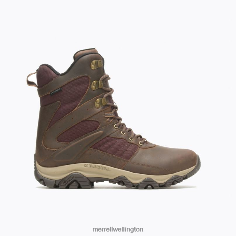 Moab 2 Timber 8'' Waterproof (J004649) Merrell Men 8VV6P637 Shoes Toffee