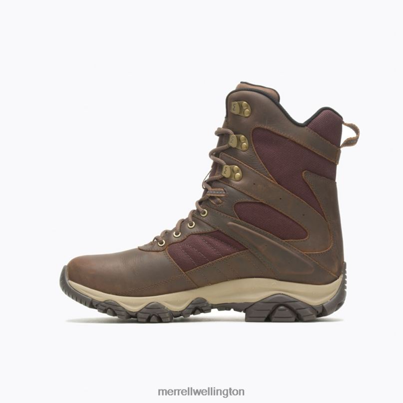 Moab 2 Timber 8'' Waterproof (J004649) Merrell Men 8VV6P637 Shoes Toffee