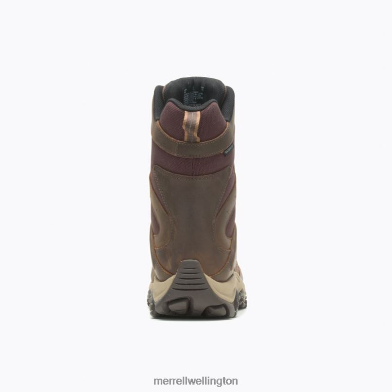 Moab 2 Timber 8'' Waterproof (J004649) Merrell Men 8VV6P637 Shoes Toffee