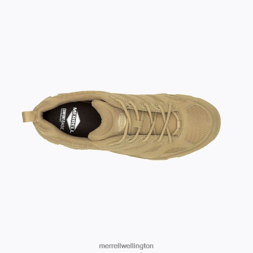 Moab 3 Tactical Shoe (J004115) Merrell Men 8VV6P639 Shoes Coyote