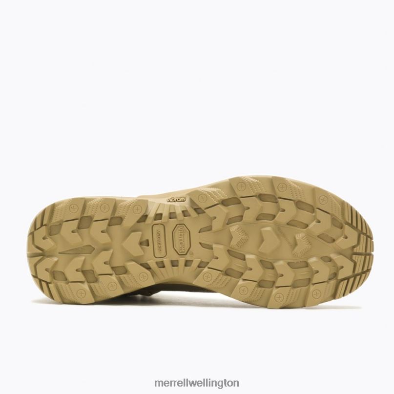 Rogue Tactical GORE-TEX (J005253) Merrell Men 8VV6P560 Shoes Coyote