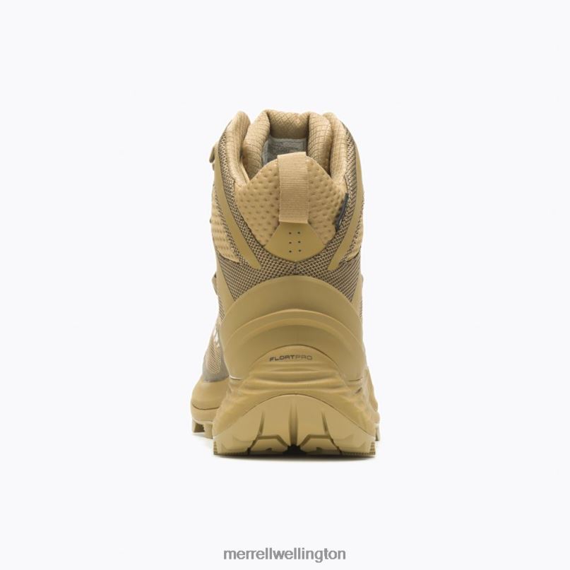 Rogue Tactical GORE-TEX (J005253) Merrell Men 8VV6P560 Shoes Coyote