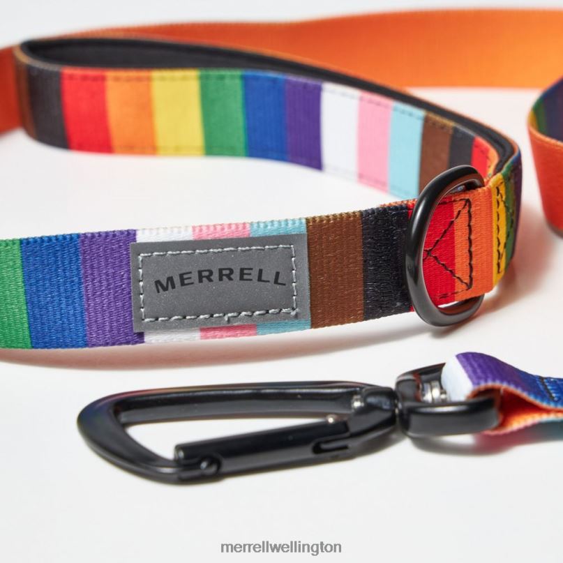 Dog Leash (JAF26689-500) Merrell Unisex 8VV6P465 Accessories Rainbow Pride