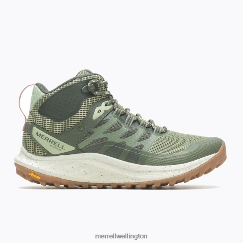 Antora 3 Mid Waterproof (J067584) Merrell Unisex 8VV6P1083 Shoes Lichen