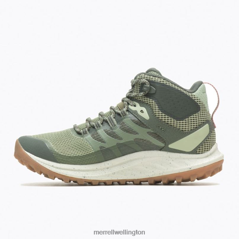 Antora 3 Mid Waterproof (J067584) Merrell Unisex 8VV6P1083 Shoes Lichen