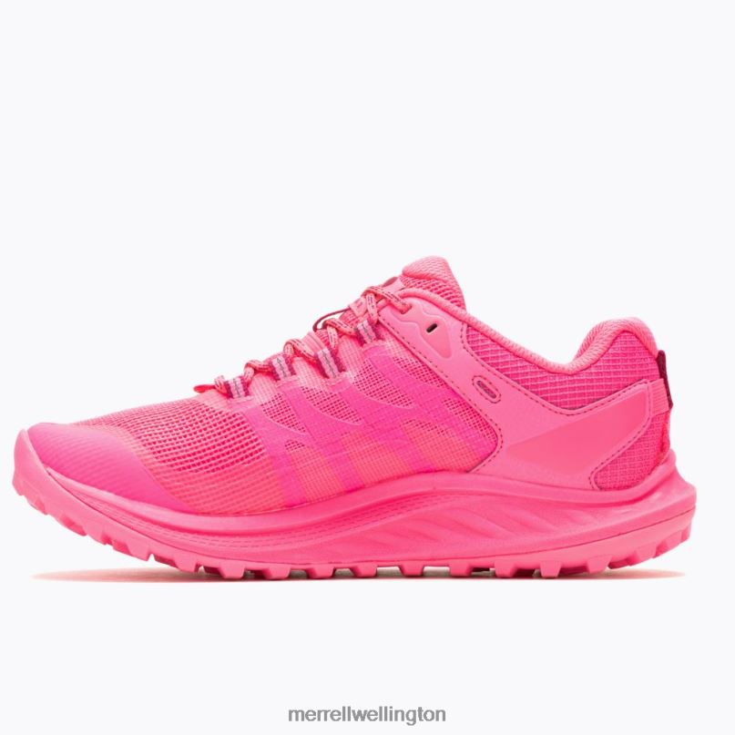 Antora 3 X Sweaty Betty (J500380) Merrell Women 8VV6P1322 Shoes Hot Pink