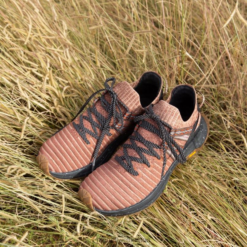 Embark Lace Sneaker X Jordan Ann Craig (J005274) Merrell Women 8VV6P1057 Shoes Tortoise