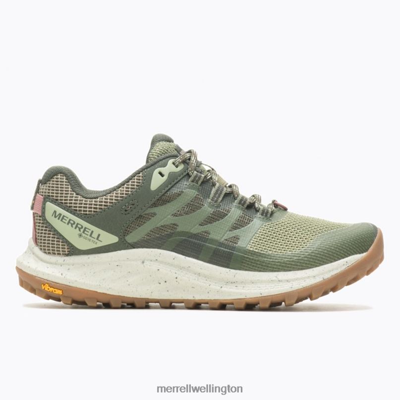 Antora 3 GORE-TEX (J067568) Merrell Women 8VV6P821 Shoes Lichen