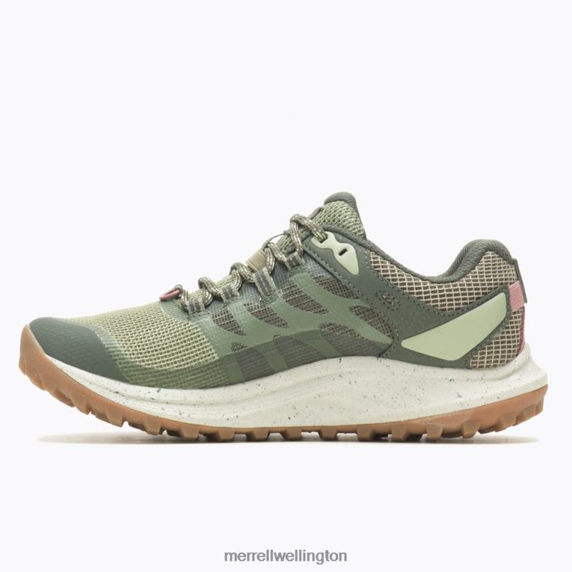 Antora 3 GORE-TEX (J067568) Merrell Women 8VV6P821 Shoes Lichen