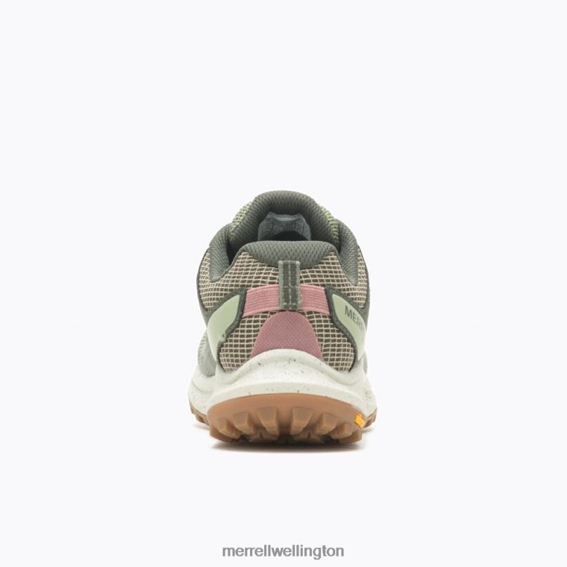Antora 3 GORE-TEX (J067568) Merrell Women 8VV6P821 Shoes Lichen
