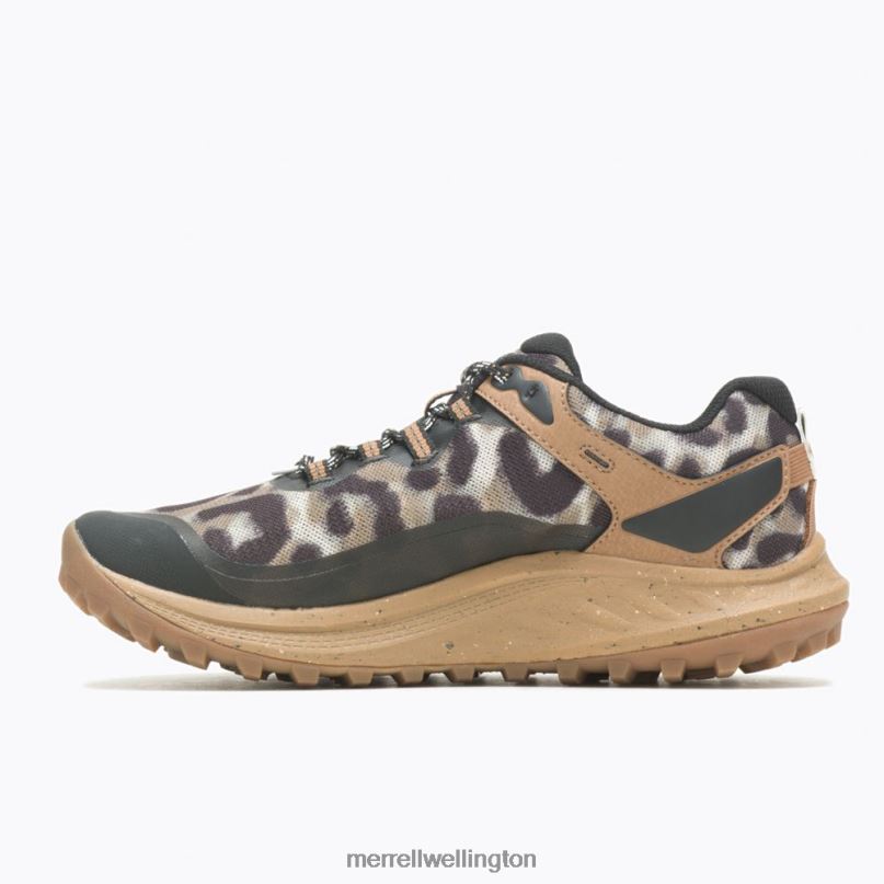 Antora 3 Leopard (J067552) Merrell Women 8VV6P1041 Shoes Sepia Leopard
