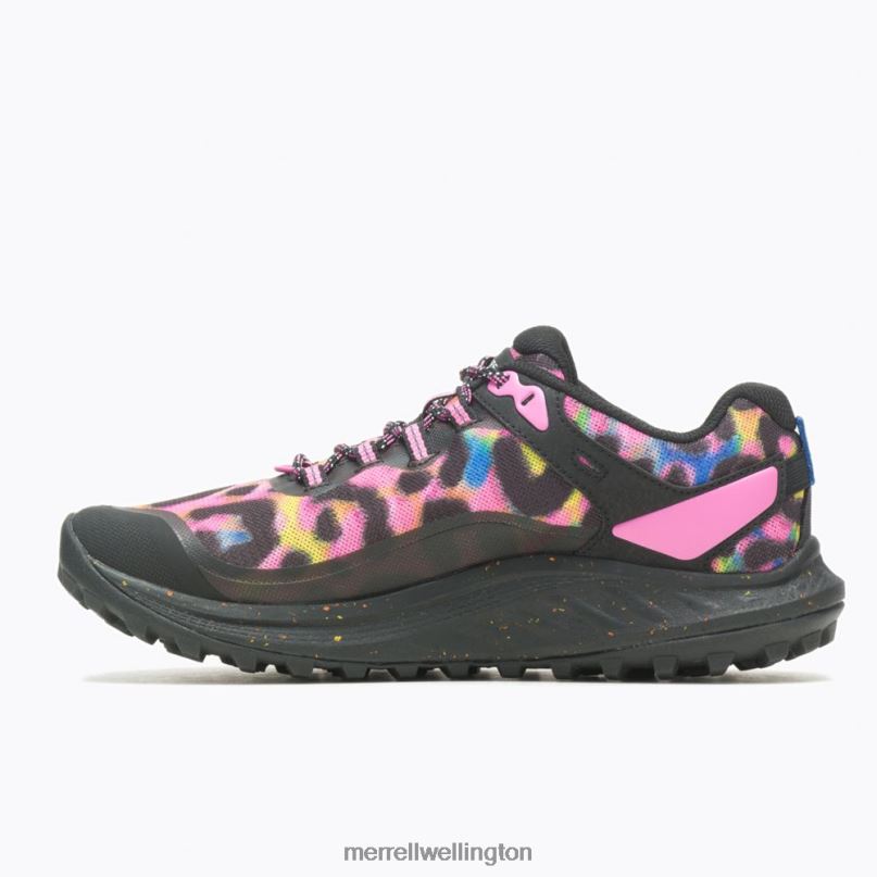 Antora 3 Leopard (J067554) Merrell Women 8VV6P1040 Shoes Rainbow Leopard